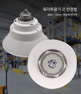 육각투광기 갓 천정형 LED 30W